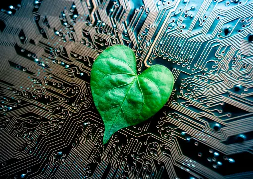 赏金女王APP下载案例